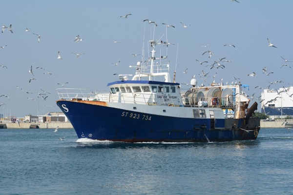 entreprises-de-peche :-nouvelle-periode-d’aide
